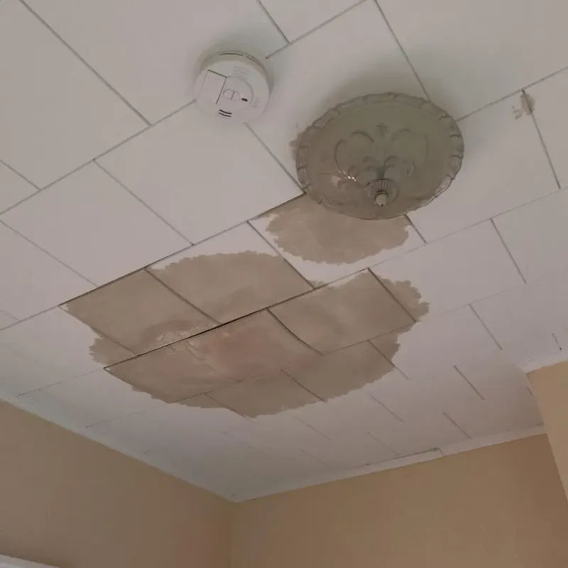 Ceiling Water Damage Repair in Moville, IA